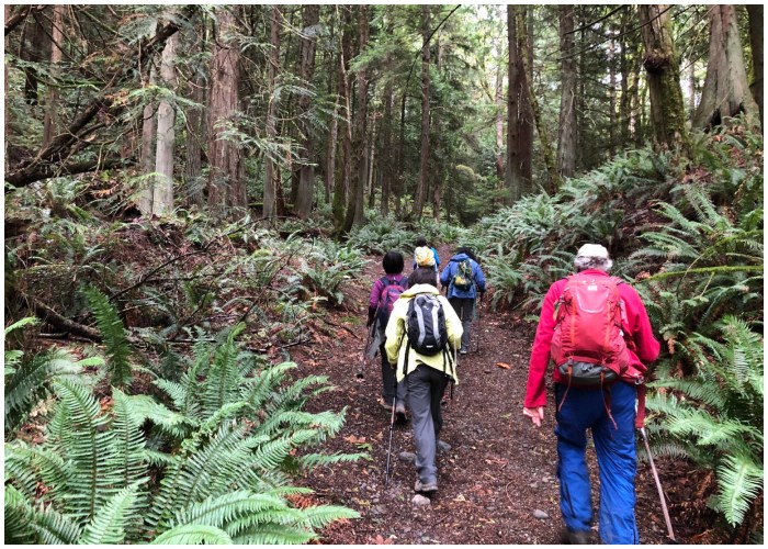 Your Guide for Responsibly Exploring the World - Crime Docu